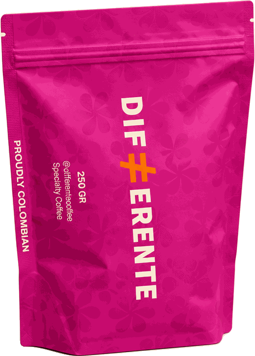TYPICA Natural experimental — la bolsa