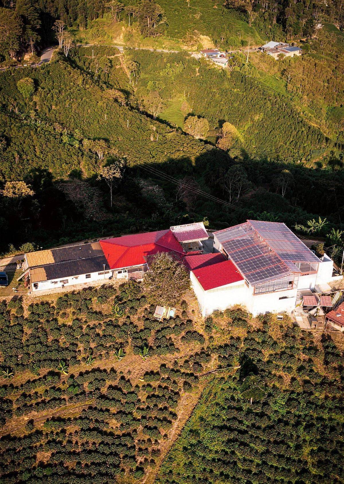 Vista aérea de la Finca Las Flores entre laderas cafeteras de Acevedo, Huila