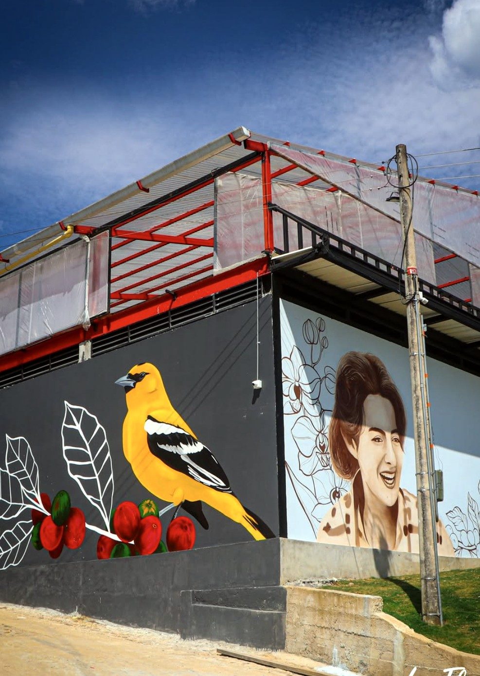 Mural de un turpial con hojas y cerezas de café en el beneficiadero de Las Flores